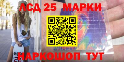стаф Новокубанск