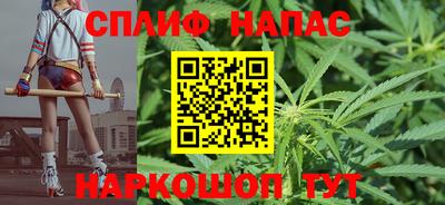 стаф Новокубанск