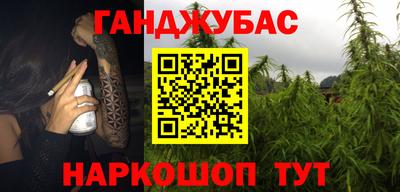 стаф Новокубанск