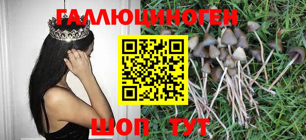 Псилоцибиновые грибы мухоморы  Вход с VPN  Спасск-Дальний 